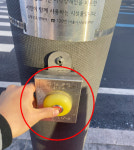 횡단보도 기다릴 때, 이것 눌러봐야 하는 이유