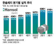 주식회사금강웰빙푸드한솔제지천안공장 | 폭설에 공장지붕 와르르… 6분기 매출증가中 한솔제지 '한숨'