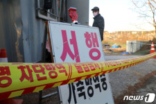 경기 김포·연천 조류독감 확인, 닭 17만여마리 살처분