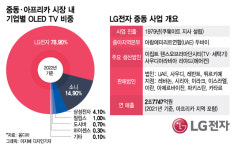 오일머니 중동시장 꽉 잡은 LG전자...점유율 80% 달하는 그 제품