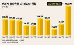 "55년 만에 최고" 전세계 金에 꽂혔다…'킹골드' 시대 개막