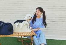 마이베프, 마이펫페어서 디어백과 편백 샴푸·미스트 선봬