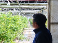 난방비 1900만원에 경악…장미꽃 키우는 농가의 한탄[르포]