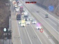 네가 왜 거기서 나와?…고속도로 휘저은 유기견 구출작전