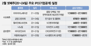 하이브·카겜 투자한 곳도 도전장…대어 실종 IPO시장 기대주는