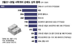 테슬라·반도체·은행주 샀다…애플·엔비디아·알파벳은 매도[서학픽]