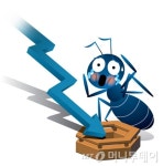 허위 공시·횡령 의혹…김우동 조광ILI 대표 구속에 주가도 하락