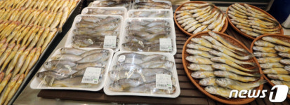 전남 영광에 참조기 양식 산업화센터 생긴다