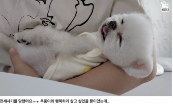 200만 유명 유튜버의 전세사기 고백…