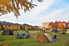 도심 속 캠핑 즐기자…과천시 13일 힐링 캠프닉데이 연다