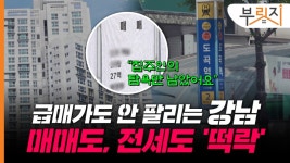 스카이캐슬 대치동도 12.8억 뚝…휘청이는 강남불패