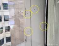 러브버그 창문에 다닥다닥…서울 도심 한복판에도 출몰
