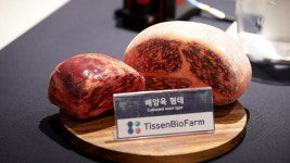 등심 배양육 생산량 100㎏↑...푸드테크 스타트업의 성장 비결