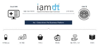 동물병원 디지털화 나선 수의사...진료 집중도 높이고 정보비대칭 해소