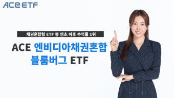 ACE 엔비디아채권혼합블룸버그, 채권혼합형 ETF 중 올해 수익률 1위