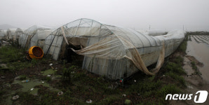 물에 잠긴 車, 유리창도 못 깼다면…침수 차량서 탈출법