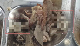 고기 사이에 콘돔…中 대학식당 논란 일자 오리 각막 해명