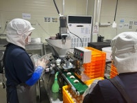 [르포]집에서 먹어도 촉촉…할매니얼 사로잡은 아리울떡, 비결은