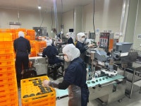 [르포]집에서 먹어도 촉촉…할매니얼 사로잡은 아리울떡, 비결은