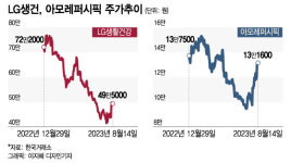 왕년에 잘나갔던 화장품 황제주…다시 전성기 맞이할까?