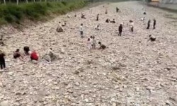 우와, 금이다! 수백명 우르르…중국 강에 널린 황금색 조각 정체는