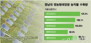 농사짓는데 태양광으로 3천만원 더 번다...영농형 태양광 가보니