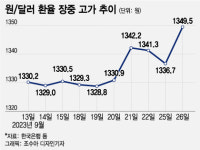 원/달러 환율 10개월 만에 최고치…1360원대까지 오를수도