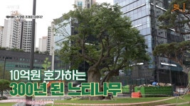 딱 봐도 으리으리한데 속살은?…급이 다른 래미안 원베일리 [부릿지]