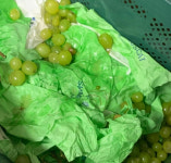 착한딸 열심히 팔던 샤인머스캣…완판시킨 이모·삼촌들