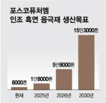 포스코퓨처엠 차이나 리스크…인조 흑연과 아프리카로 돌파
