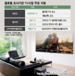 중형차 한대값이면 어때?…벽걸이 TV 흥행의 이유[이슈속으로]