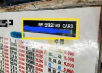 석화 달랑 7개에 2만원…종로 포차, 대놓고 현금 요구도