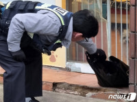 반려동물 미용실 앞 동물 사체..개 식용 금지 보복 같아