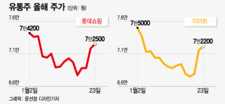 (주)동부유통 홈마트 | "일요일에 대형마트 문 연다" 유통주 들썩…"이 종목 최대 수혜"