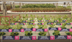 돈 버는 농사꾼 만드는 이 기술...베트남·태국 홀린 K-스마트팜