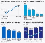 REC가격은 오르고, 재생에너지 발전율 겨우 9%…속타는 기업들