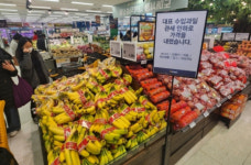 왜 이렇게 싸?…마트서 사과·귤 대신 이 과일들 담았다
