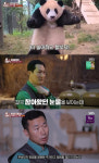 푸바오 마지막 퇴근길…사육사 가족이 성장해서 멀리 떠나도 잊히지 않는다 눈물