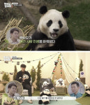 난임·사별에 힘들 때…우리가 푸바오를 잊을 수 없는 이유