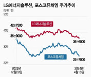 아라마크(주)포스코퓨처엠 | 빠질 대로 빠졌나... 증권가 LG에너지솔루션·포스코퓨처엠 주목