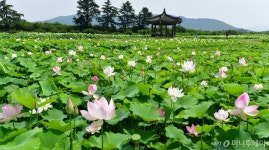 세금포인트로 경주로 역사여행을?…천마총 등 10곳 할인 혜택