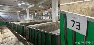 스트레스 안받은 돼지가 맛도 좋다 도축장의 변신