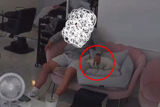 [더영상] 강아지 목 조른 목사 잘못 없다 뻔뻔…공중서 멈춘 중국 놀이기구