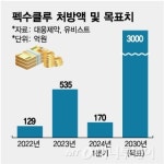 대웅제약, 신약 펙수클루 주사제도 개발한다