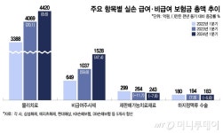 안과에 웬 정형외과 의사?…1시간 시술에 1000만원 실손 이렇게 샜다