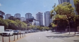 반포자이 앞 사슴 출몰…서울숲서 나왔나 로드킬 주의보[영상]