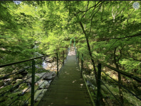 청정 숲에서 산책하며 힐링 할 만한 국립자연휴양림은?