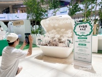 종이비행기도 국가대표가 있다?...스타필드로 보러 오세요