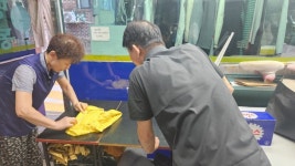 온통 굳은살, 거칠거칠…반값 세탁소 사장님, 건물주 된 비결은 진정성?