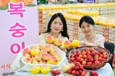 하나로마트, 제철 맞은 복숭아와 자두 맛보세요!
